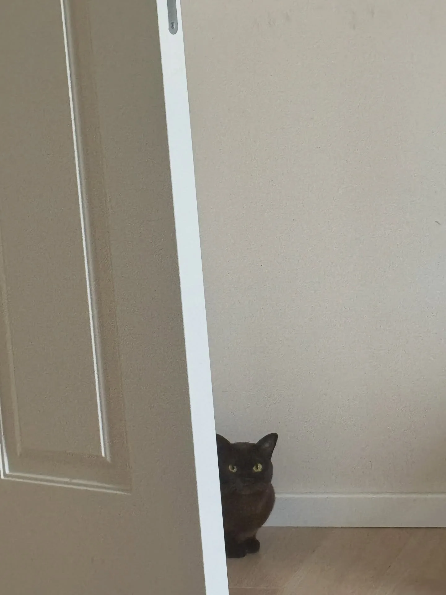 aavee instagram real life — real Instagram photo