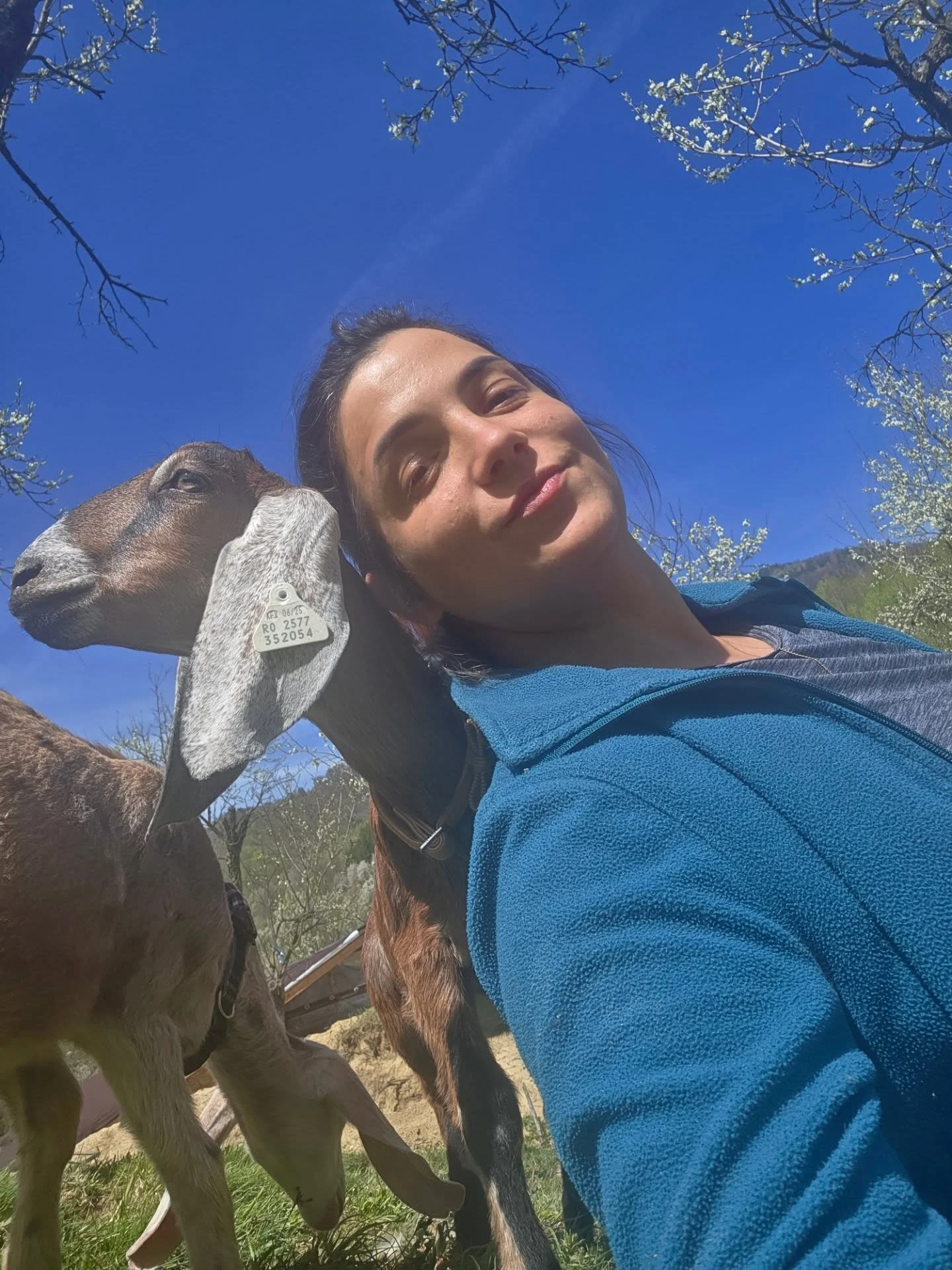 anaworld69 taking a selfie with goats wearing blue fleece jacket in farm