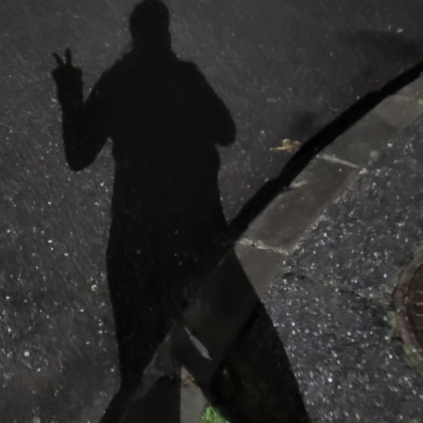 anaworld69 making peace sign in pavement at night