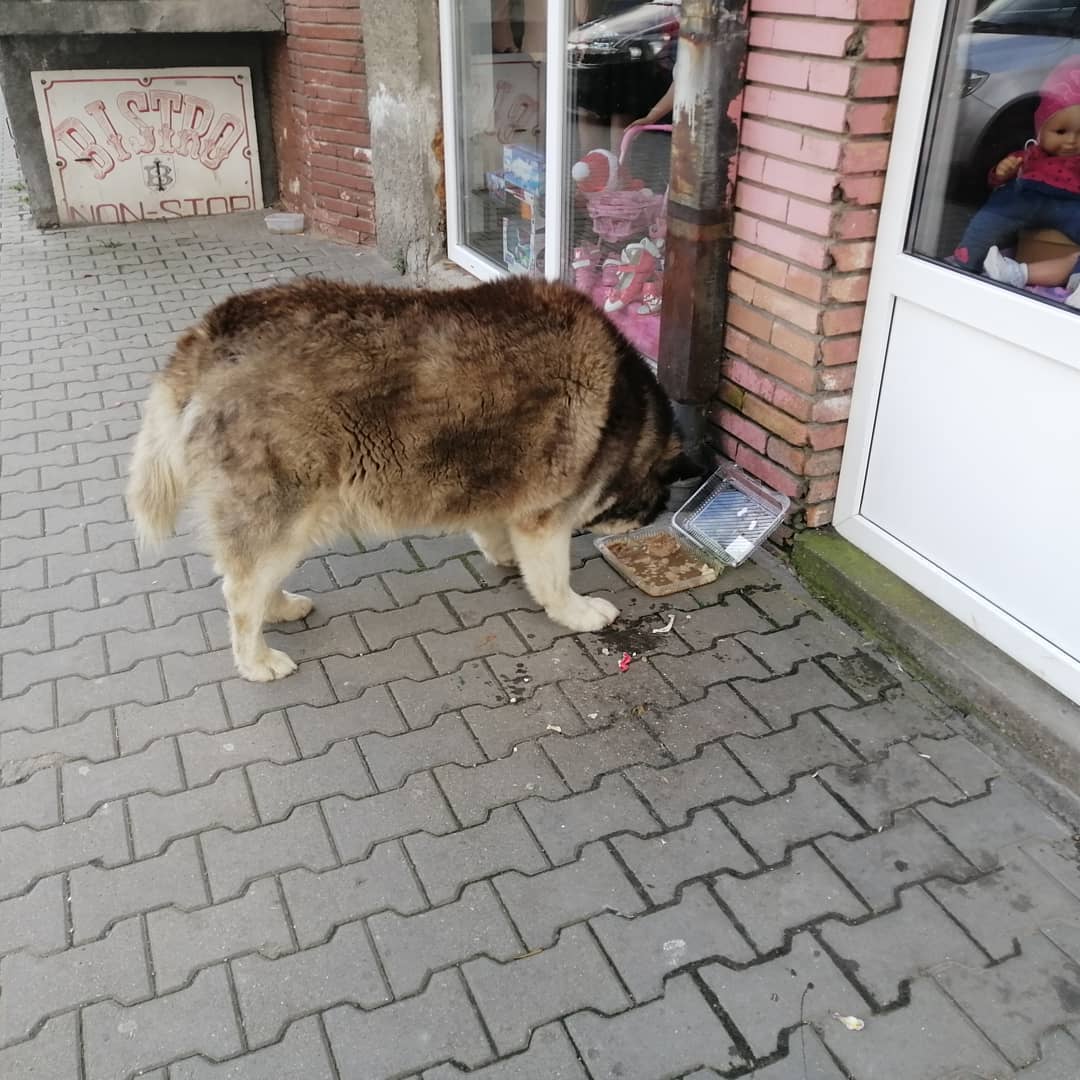 anaworld69 eating from food container in sidewalk outside storefront