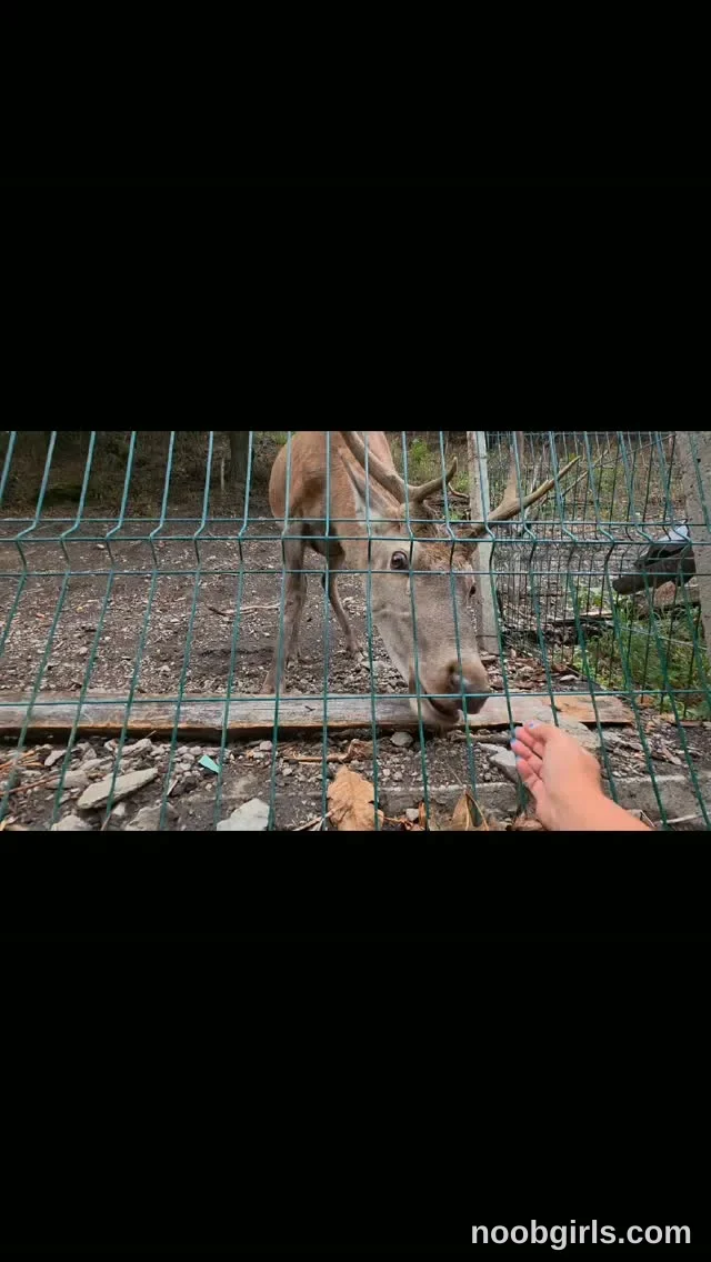 Inside the World of of just4ana reel: 