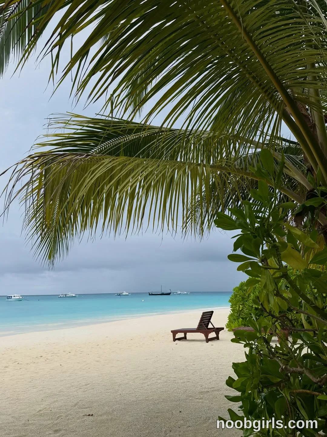 Angelina (@angelees_) in Maldives Island