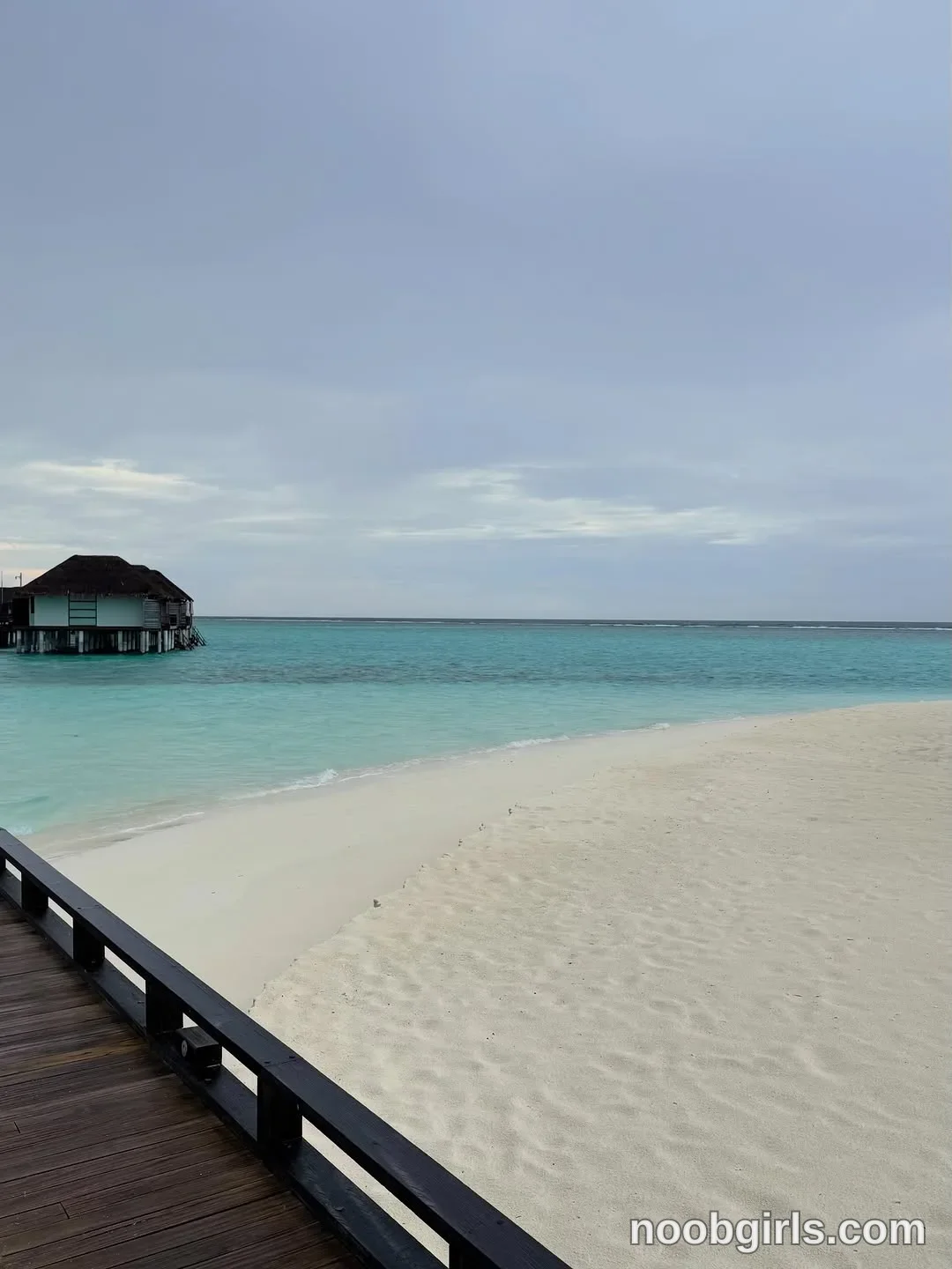 Angelina (@angelees_) in Maldives Island