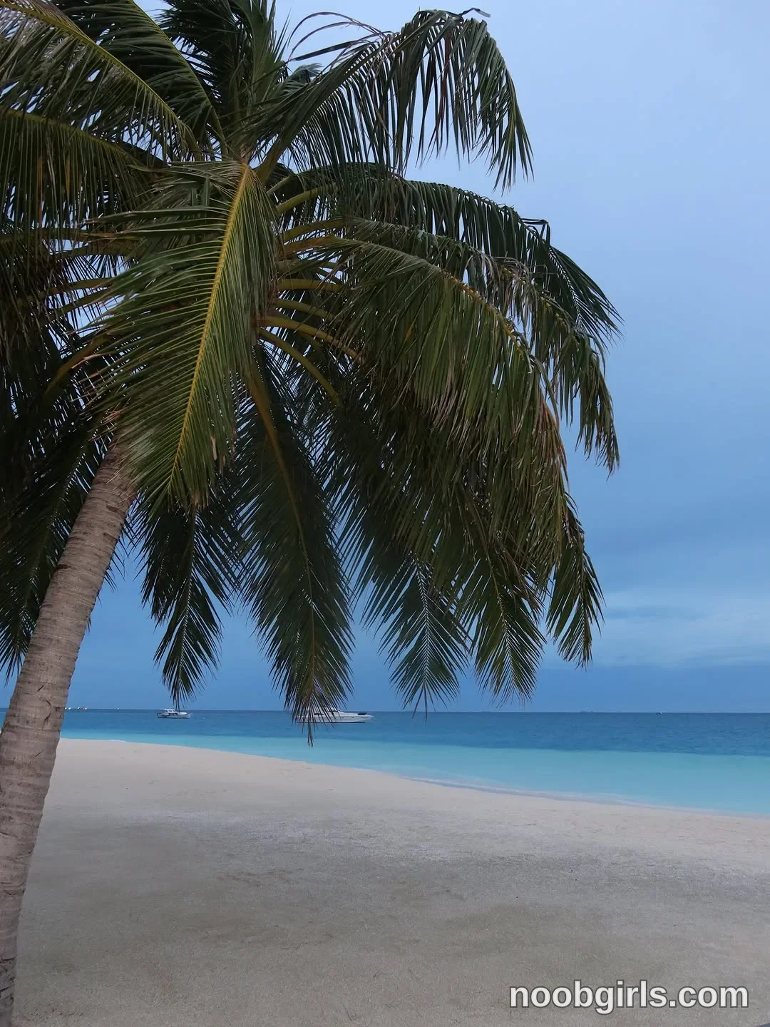 Angelina (@angelees_) in Maldives Island