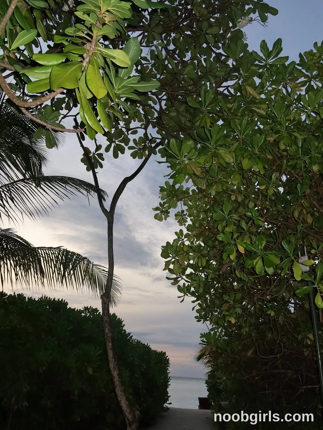 Angelina (@angelees_) in Maldives Island