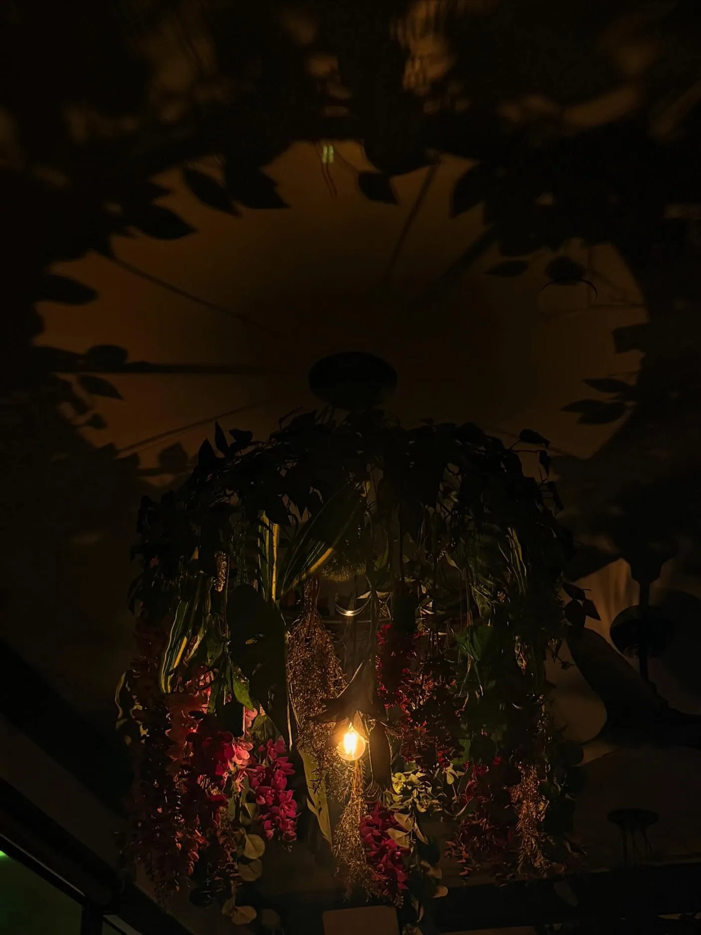 ava_delightt instagram selfie — real Instagram photo