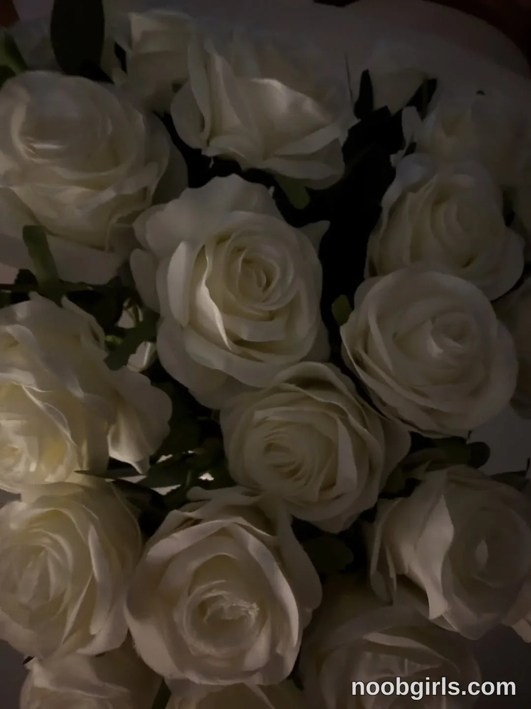 Ava No person is visible in Indeterminate; close-up of flowers
