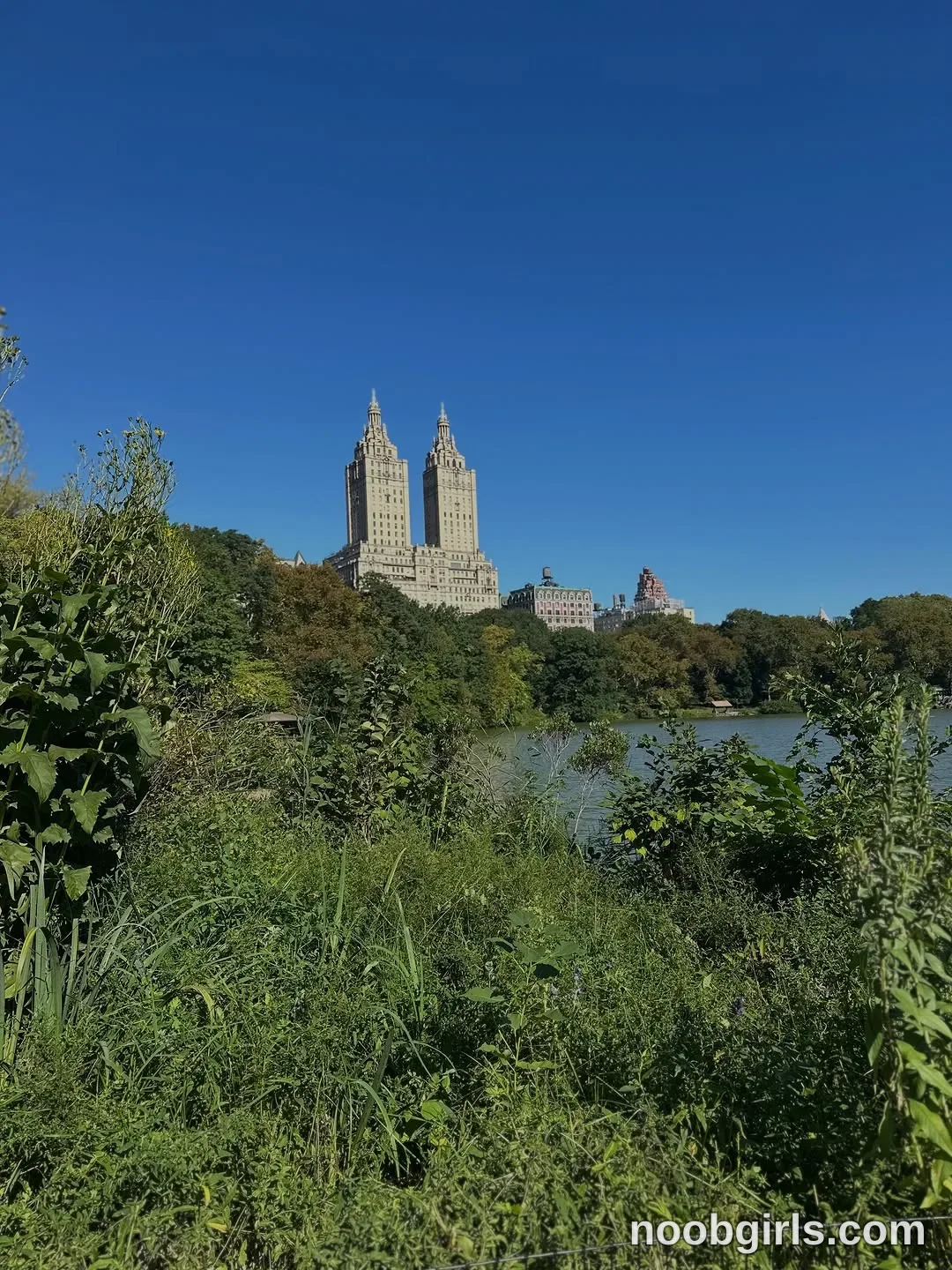 Bardot (@bardoteyed) — "my last day in new york was a bit of a whirlwind. I started my day walking…" in Strawberry Fields…