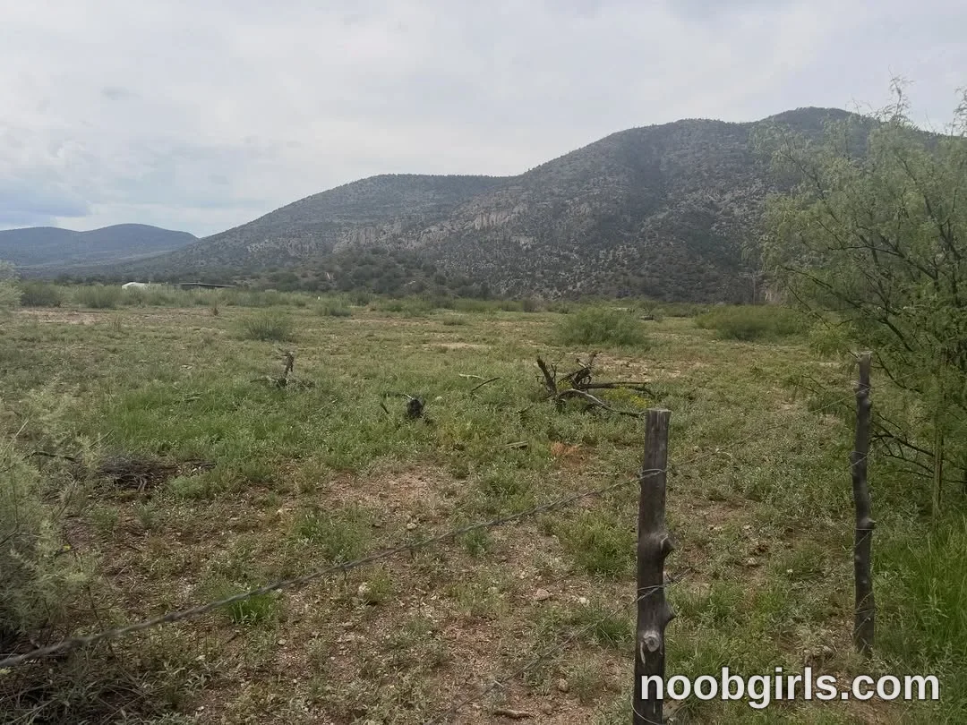bexbex945874 (@bexbex945874) — "Passing through, not sleeping, cowboy coffee, flat tires"