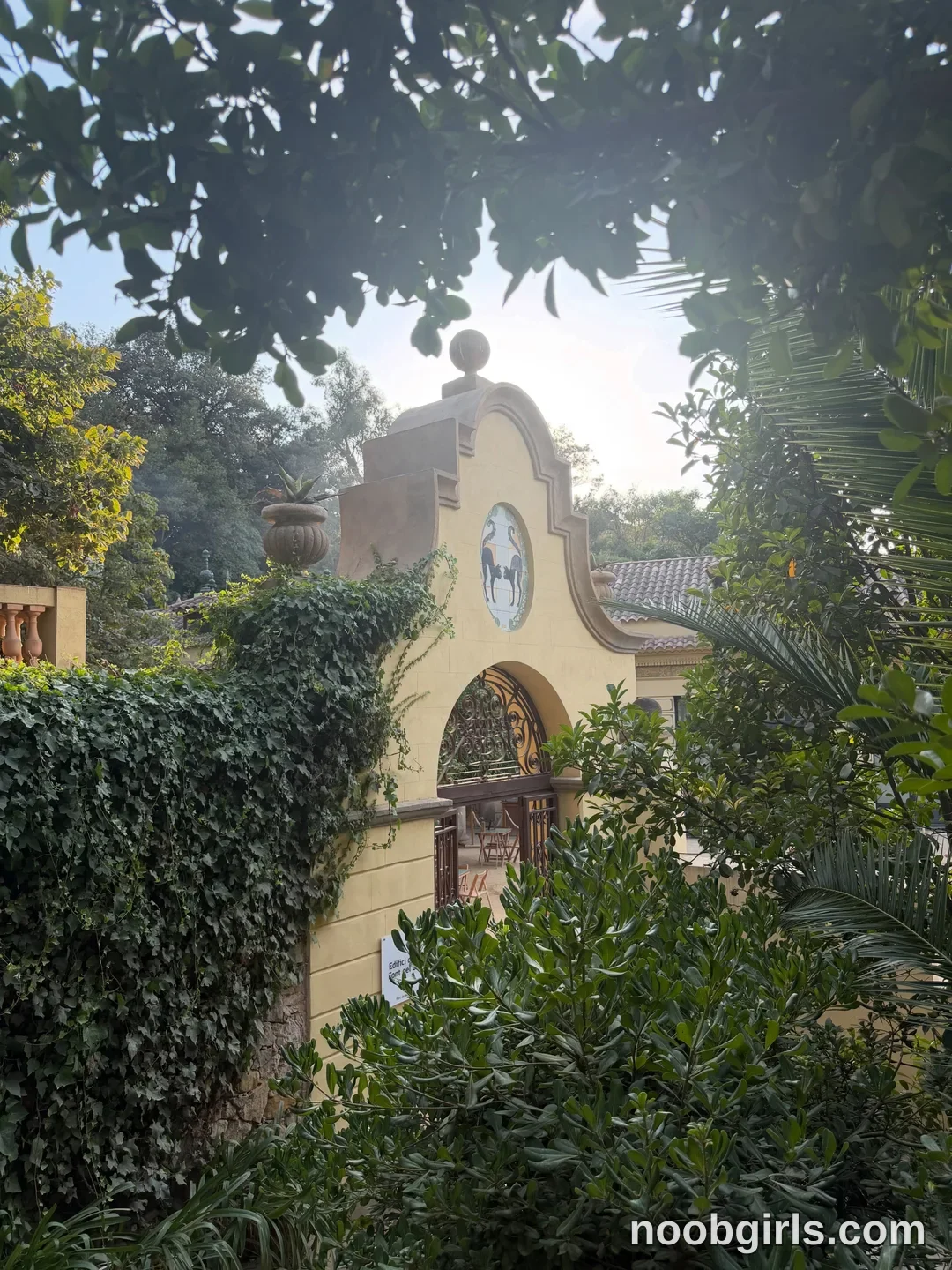 bexbex945874 in botanical garden at Font del Gat