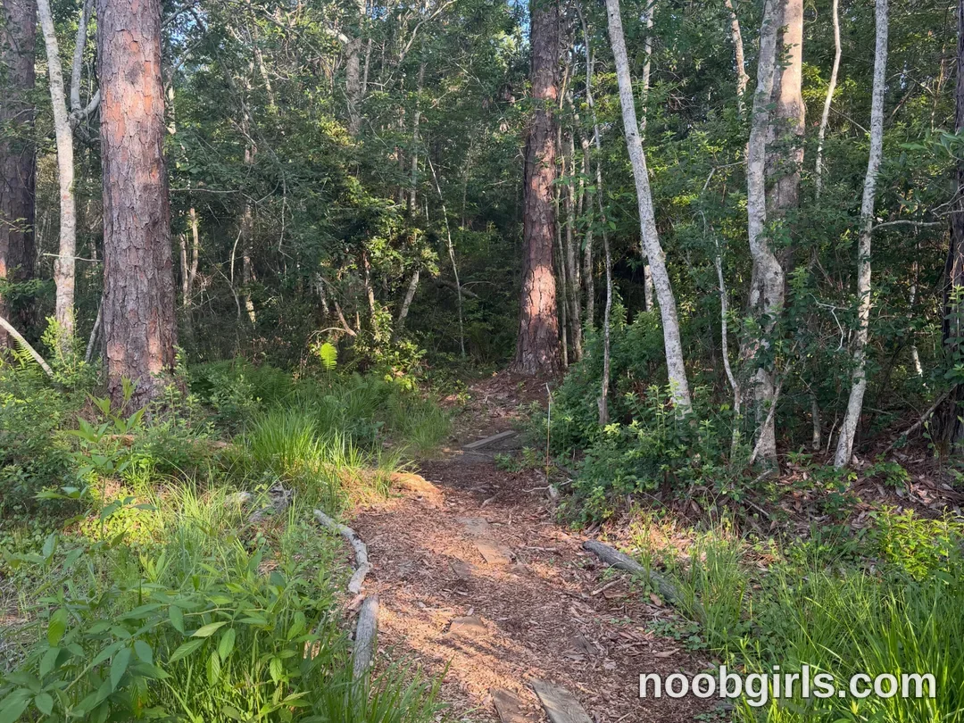 bexbex945874 in forest trail