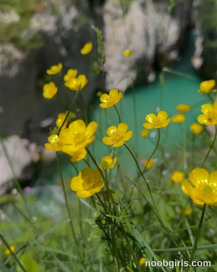 Brita (@britakiss) — "Slovenian forests + baby girl>>>🍋" in Slovenia