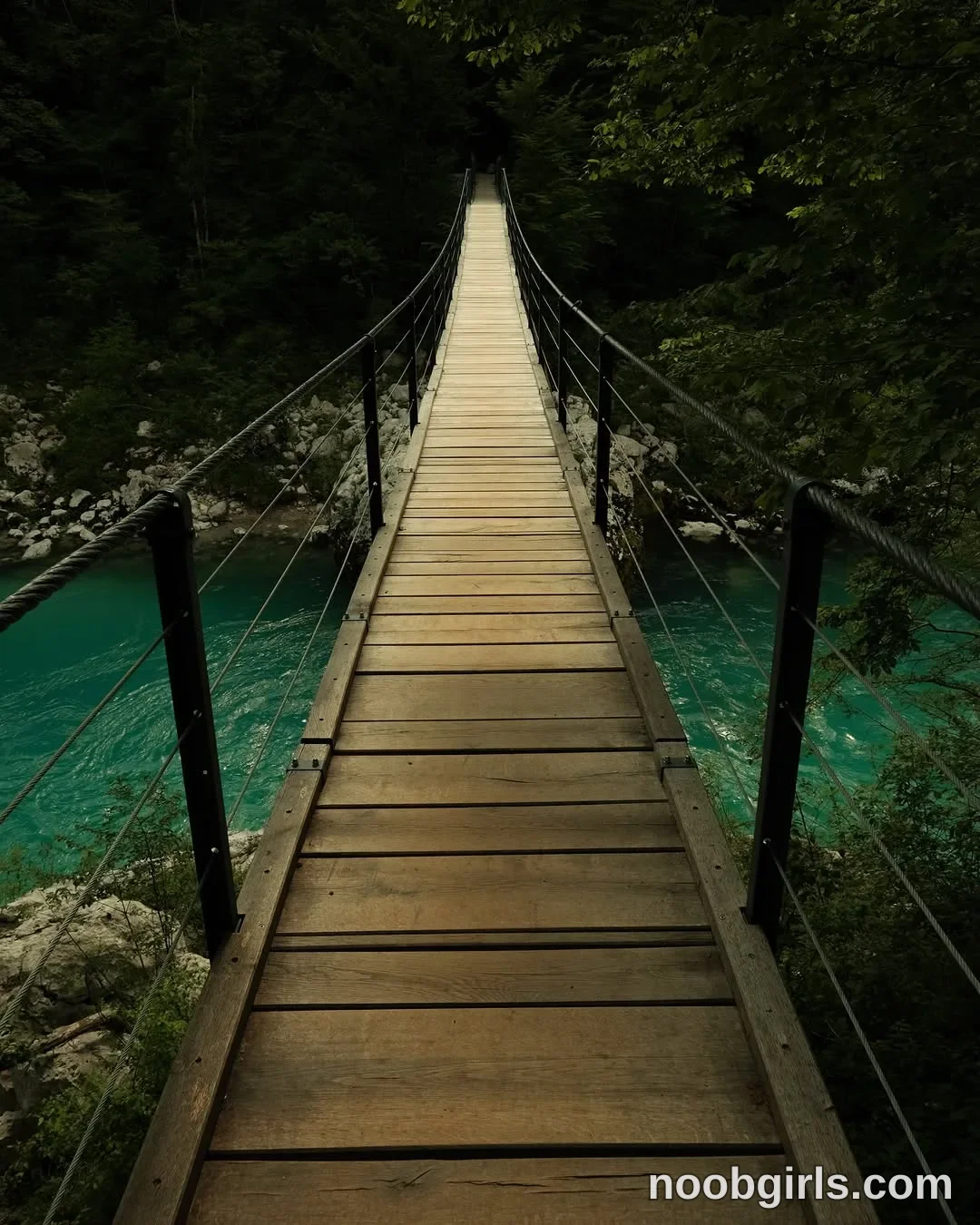 Brita (@britakiss) — "Slovenian forests + baby girl>>>🍋" in Slovenia