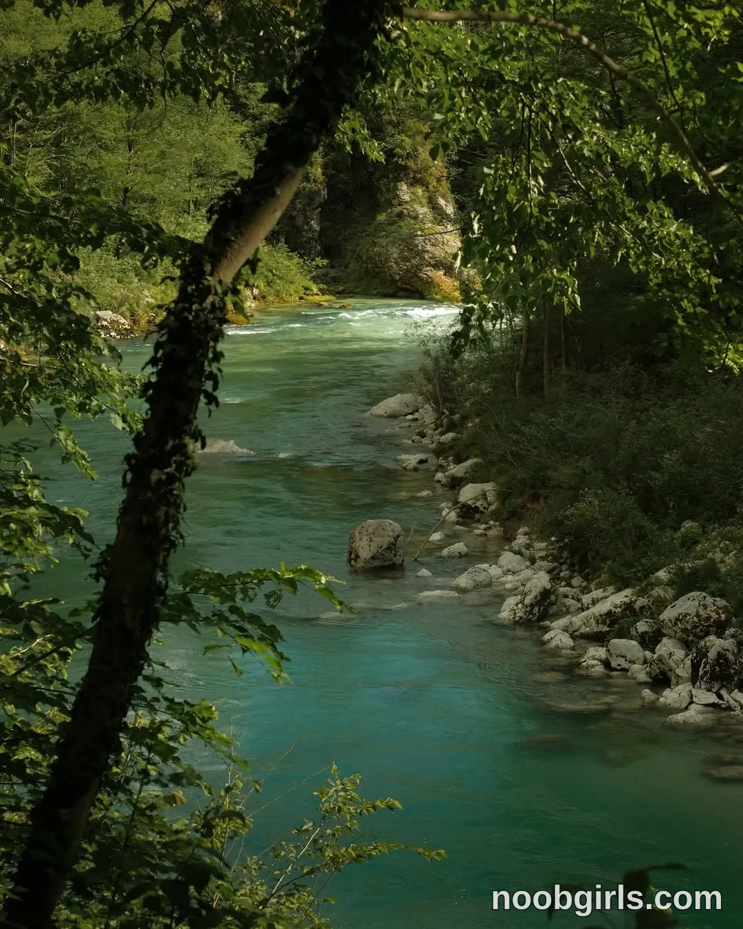 Brita (@britakiss) — "Slovenian forests + baby girl>>>🍋" in Slovenia