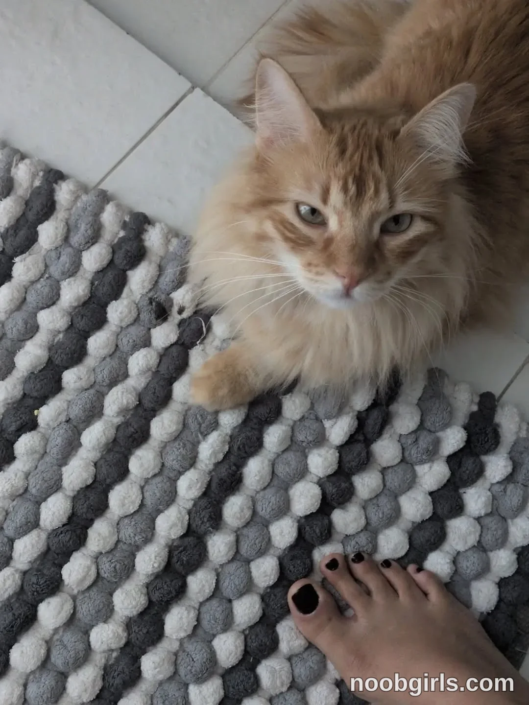 Charlene Soles (@charlene_soles) — "Kinda weird, my orange cat likes my feet... 🤔"