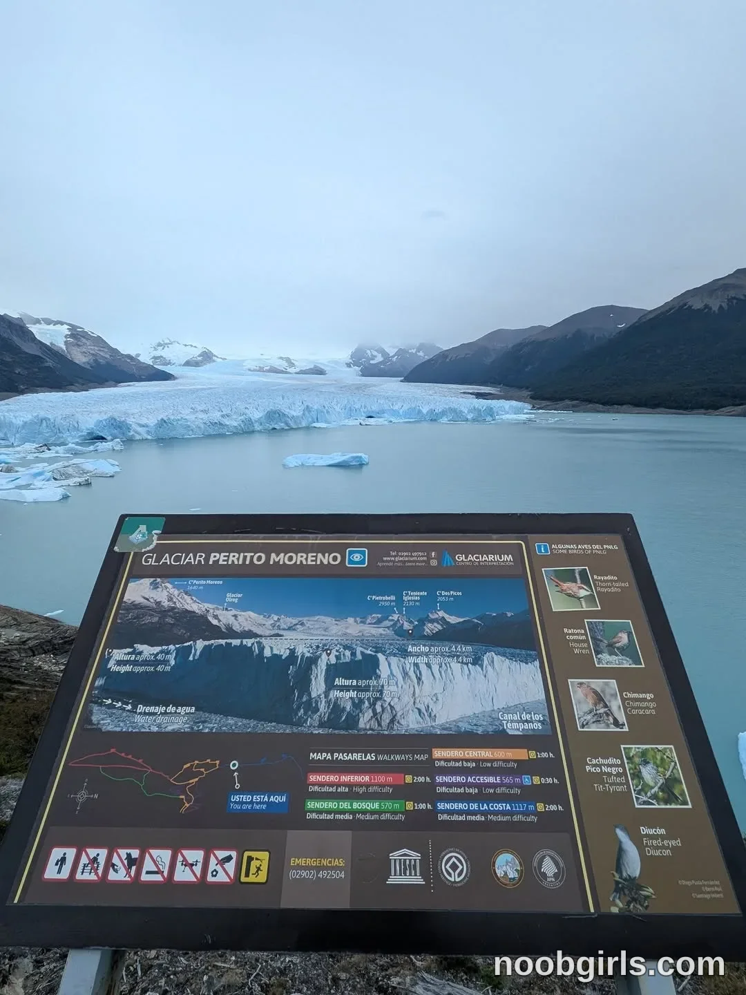Charlene Soles (@charlene_soles) — "Between mountains and glaciers I understood that immensity is not only seen, it…" in…