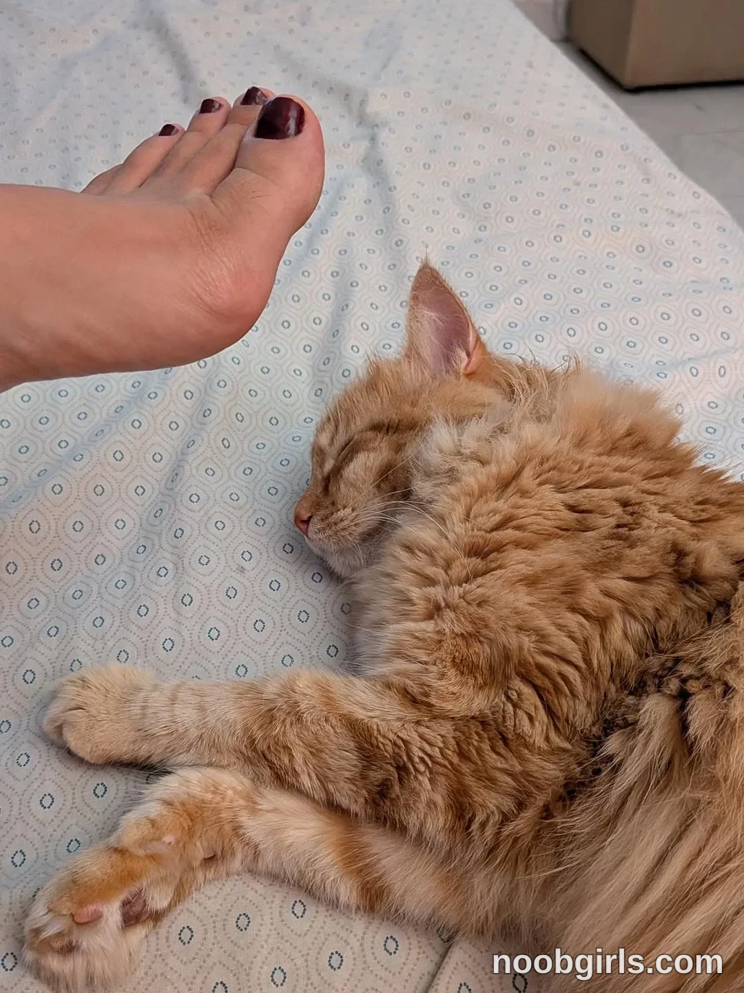 Charlene Soles (@charlene_soles) — "Lovely moments and beautiful feet"