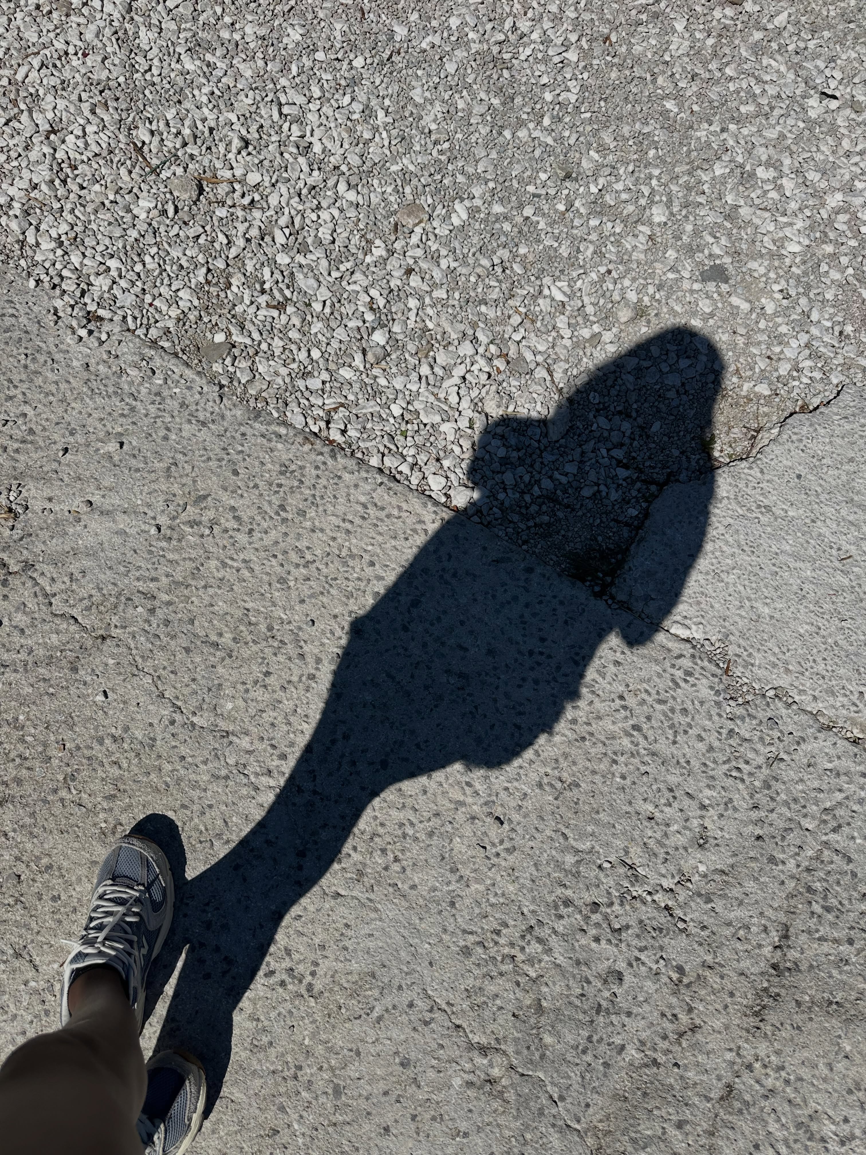conymegan wearing grey sneakers in paved ground