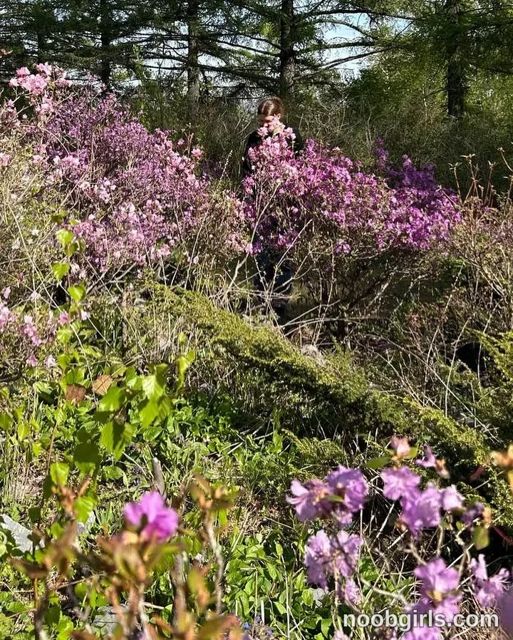 Geneva (@coyness_geneva) — "Guess what kind of flowers it is!"