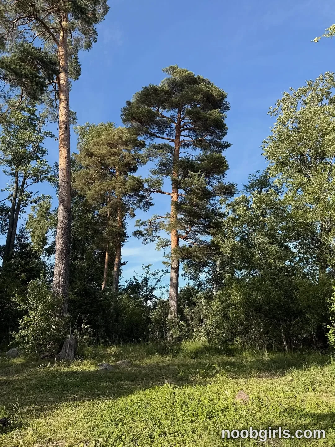 Geneva (@coyness_geneva) — "i had wonderful weekends out country😭 i need more nature in my life and i…"