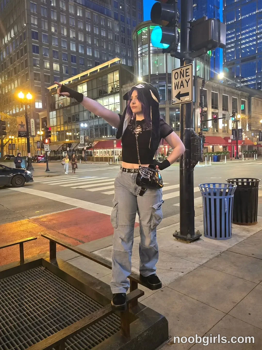 Crimson Kitten Standing with her feet on sections of a metal railing