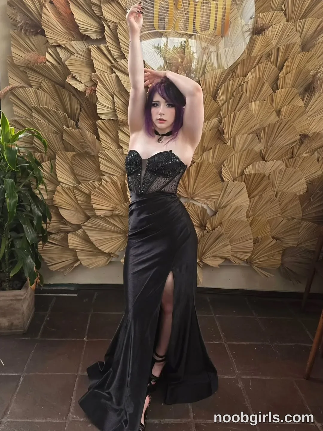 Crimson Kitten Standing with one arm extended overhead