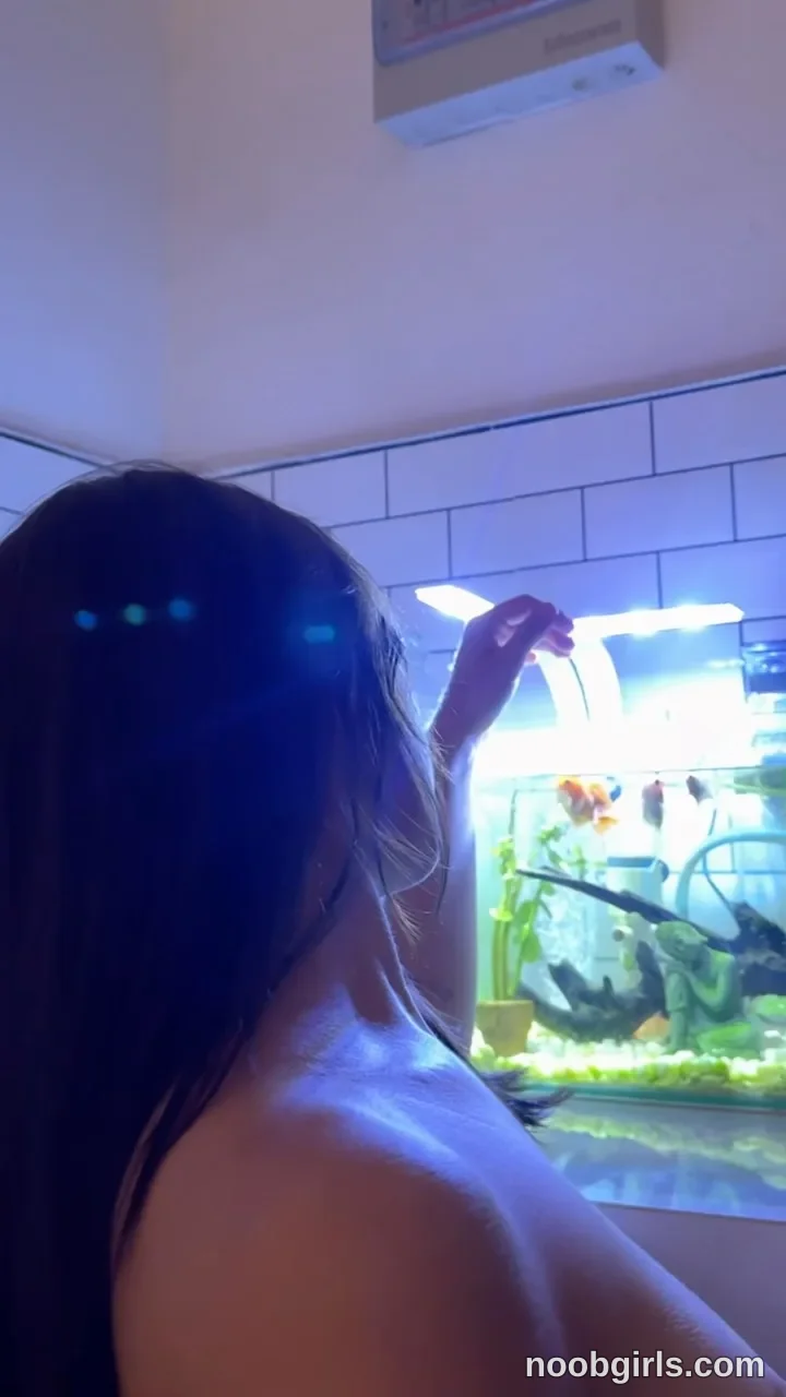 Elsa (@cuteelsa_) — "seeing the fish through a cat’s eyes"
