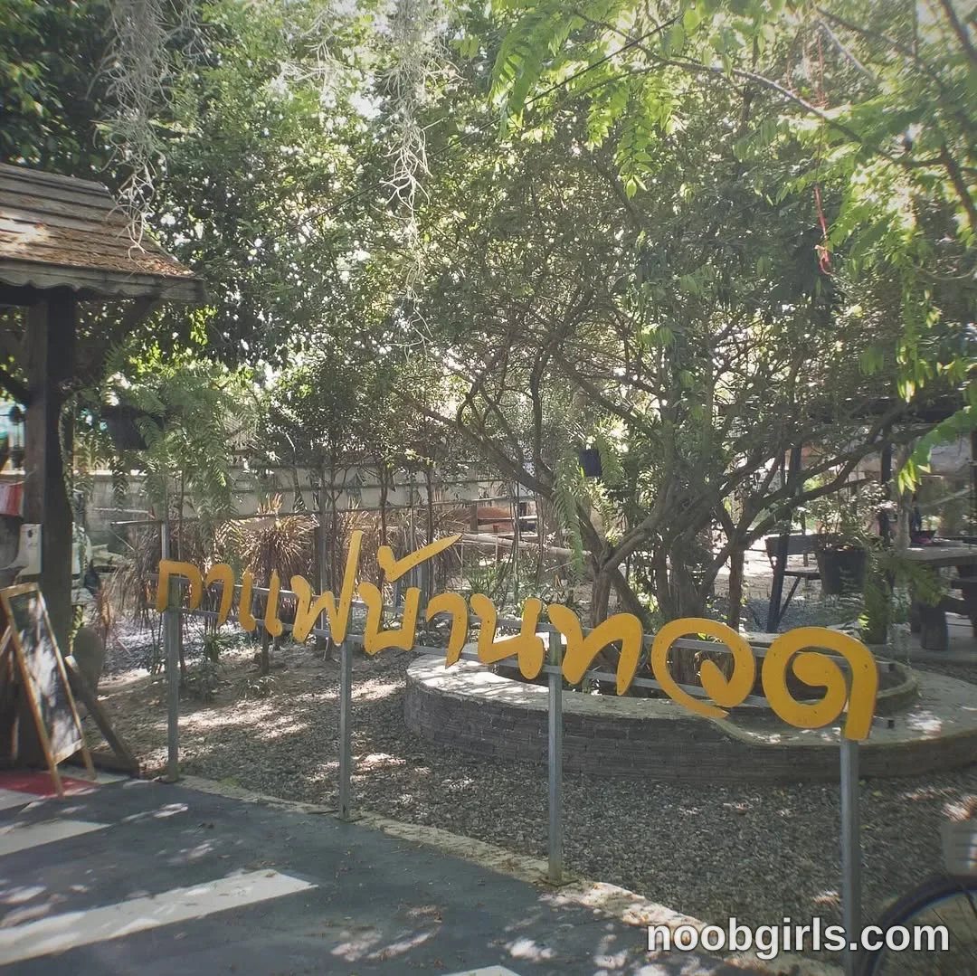 Daisy (@daisybean) in กาแฟบ้านทวด