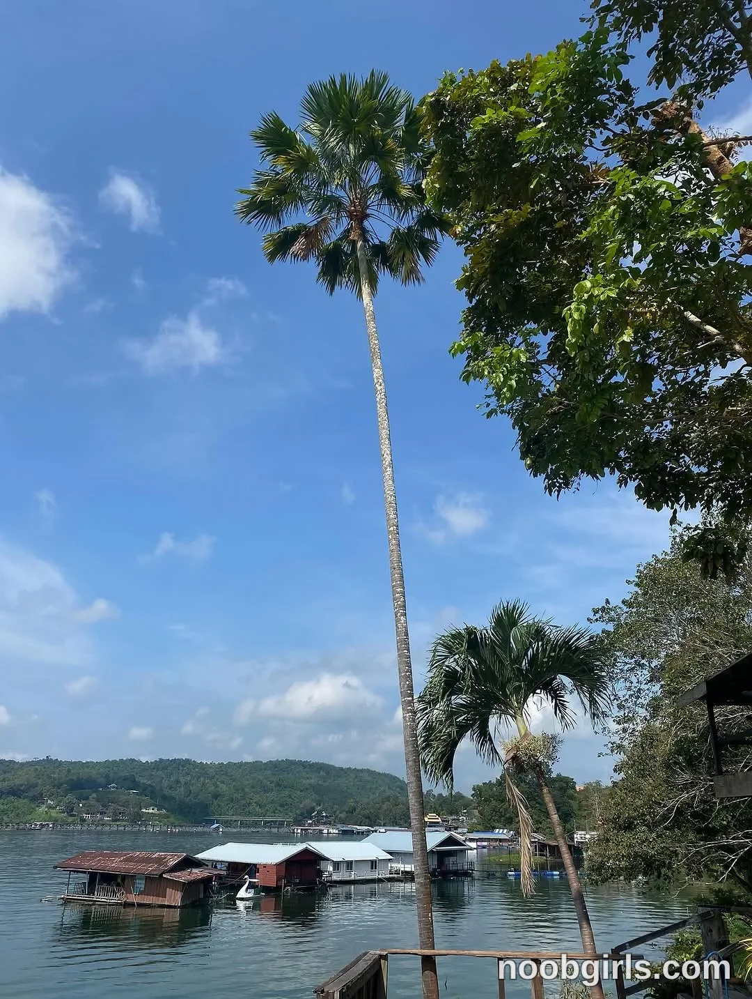 Daisy (@daisybean) — "𝙉𝙖𝙩𝙪𝙧𝙖𝙡 𝙃𝙚𝙖𝙡...🌴🛶⛰️" in กาญจนบฺรี