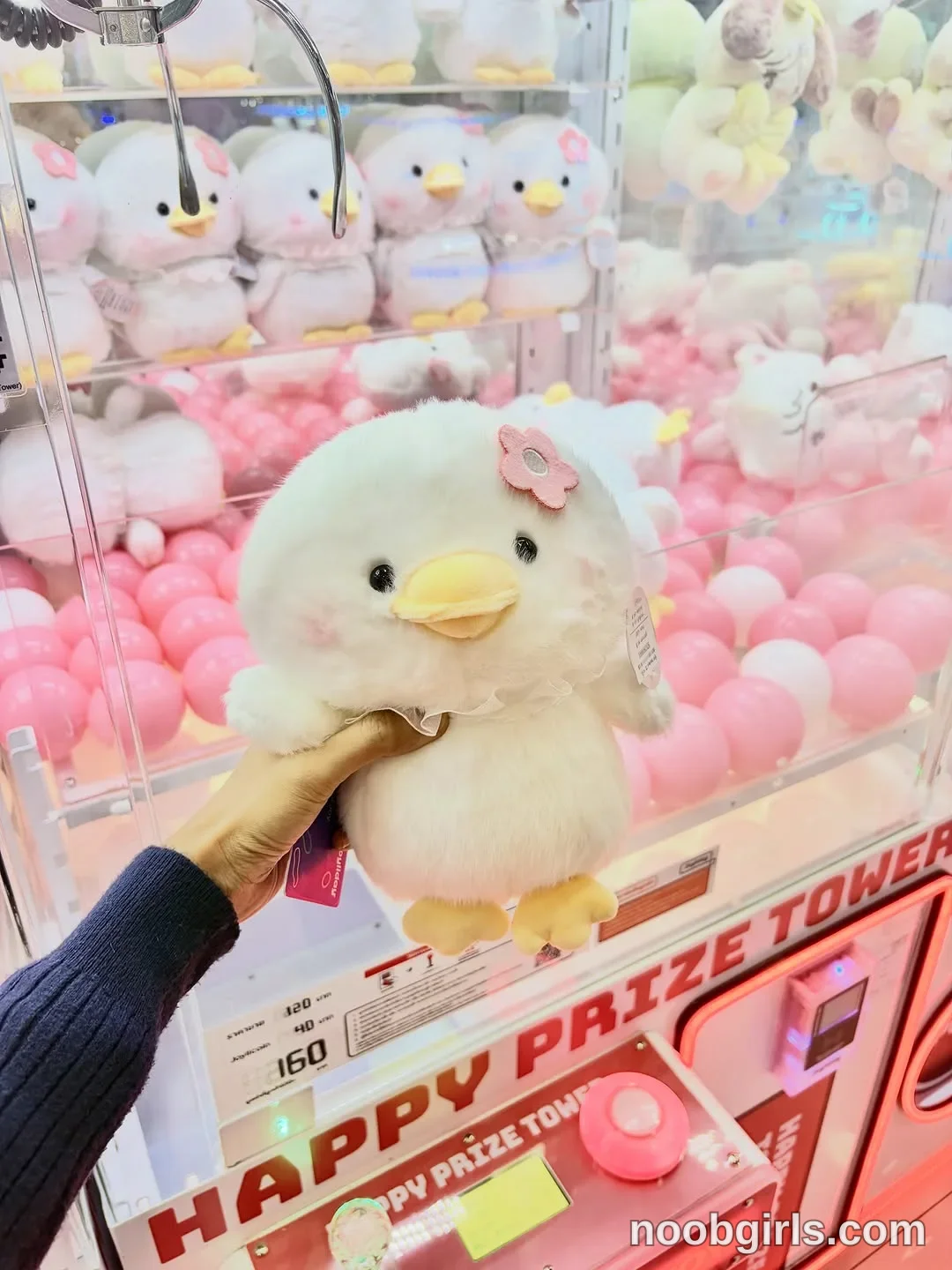 Daisy (@daisybean) — "หื่ม.. ลมทะเล ทำผมเหนียวนะ นานทีปีหน หล่อว่ะ โจฮันนอร์ท ฟอเอเวอร์…"