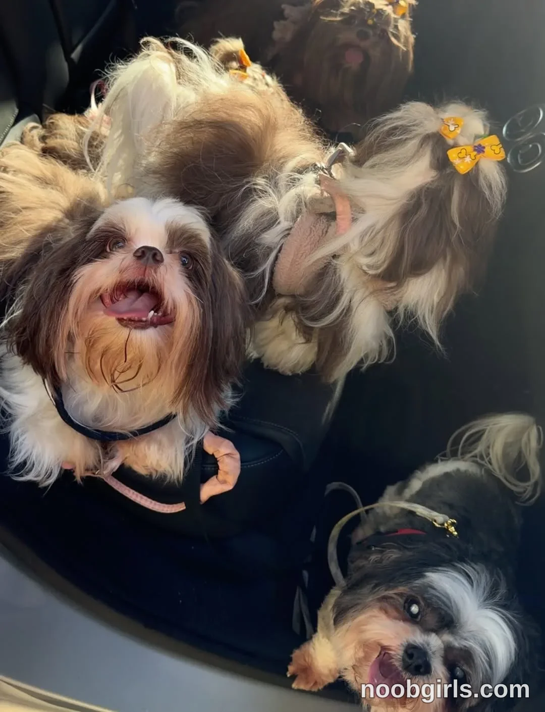 dianac1998 (@dianac1998) — "Vibrando bonito ❤️‍🔥✨✨✨"