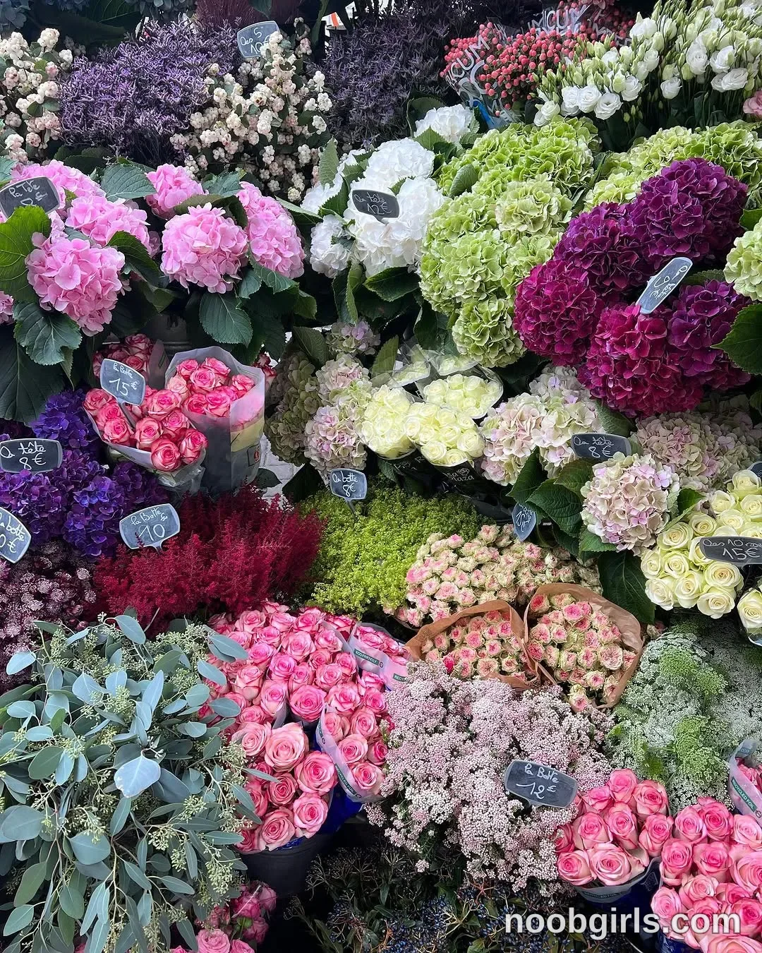 dreamana No person is visible in Flower shop display; indoor or outdoor cannot be determined in Paris, France