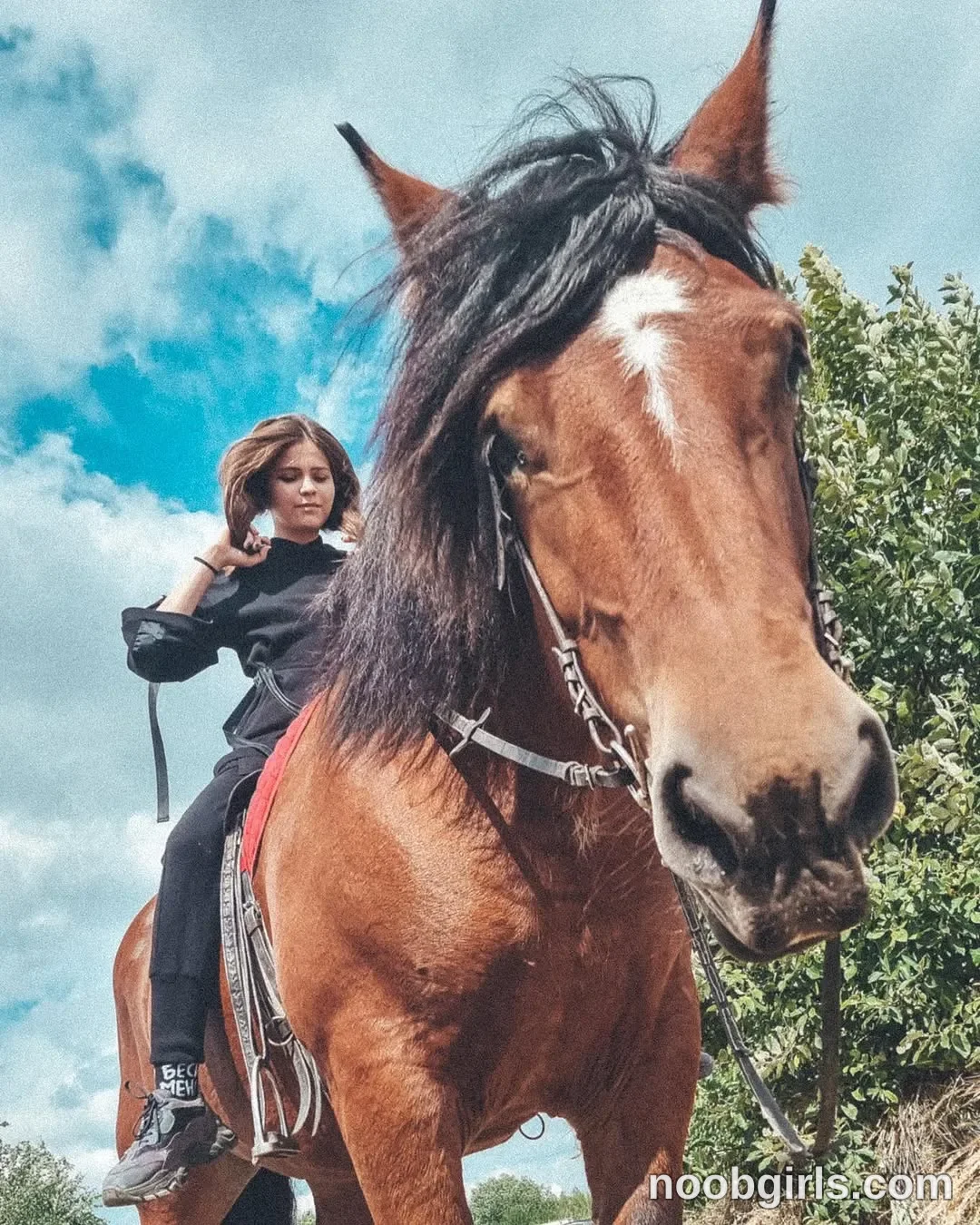 Molly (@euphoria_life) — "Enjoying the walk🐴"