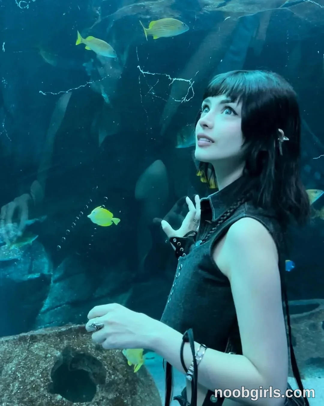 Luna (@felinebloodbite) — "Fui muy feliz aquí 🩵🐠🩵" in Georgia Aquarium, Atlanta GA