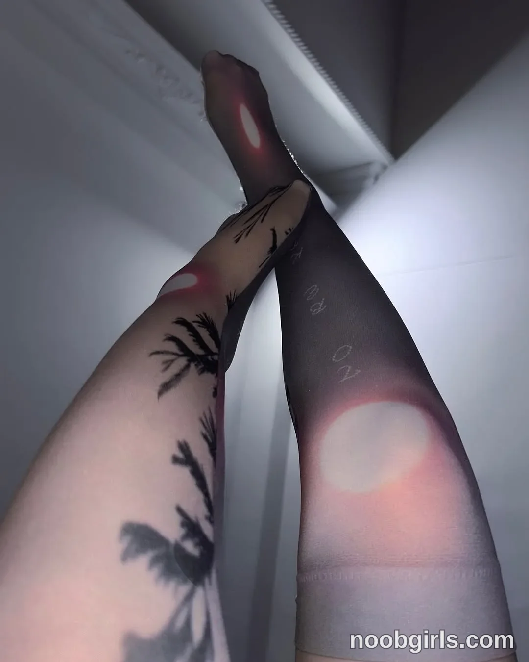 Luna (@felinebloodbite) — "𝄢..⚔️ .⋆𓏲*‧₊˚"