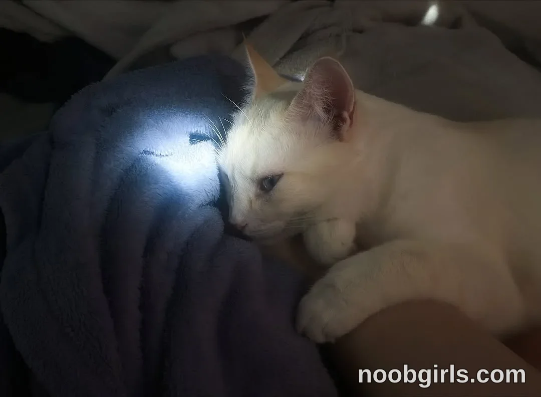 Luna (@felinebloodbite) — Instagram photo 29