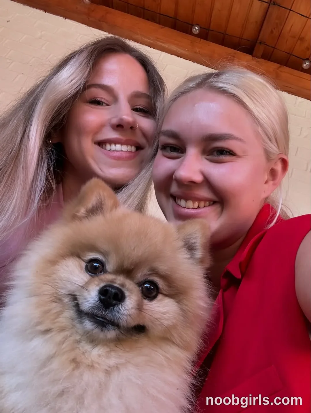 Haylee (@hayleex) — "Yesterday 👯‍♀️🍸🐶🩷"