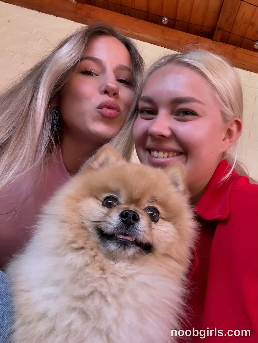 Haylee (@hayleex) — "Yesterday 👯‍♀️🍸🐶🩷"