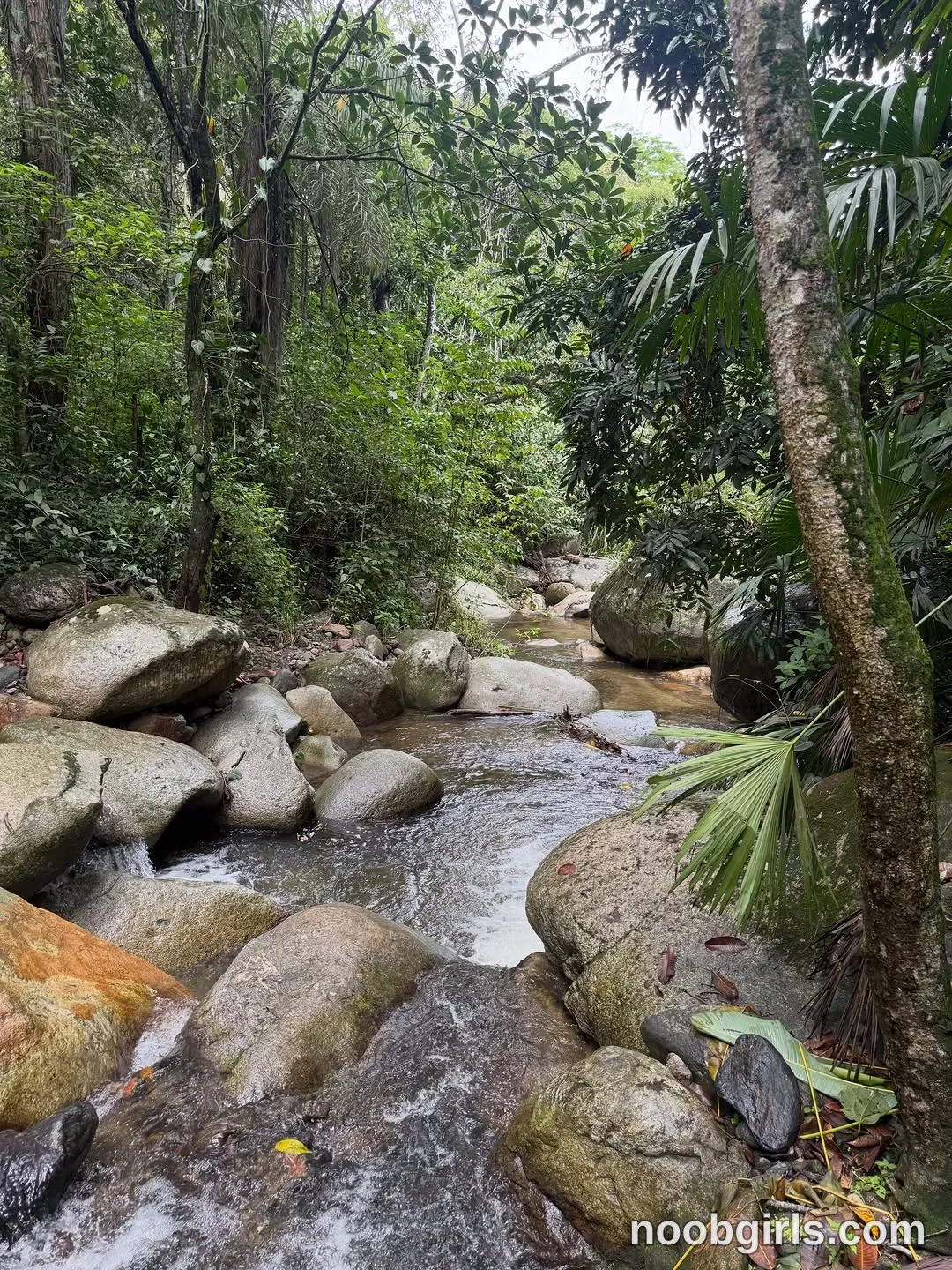 July Correa (@july_correa) — "🌿🌳💚🌱🥰 😎" in San Jerónimo, Antioquia