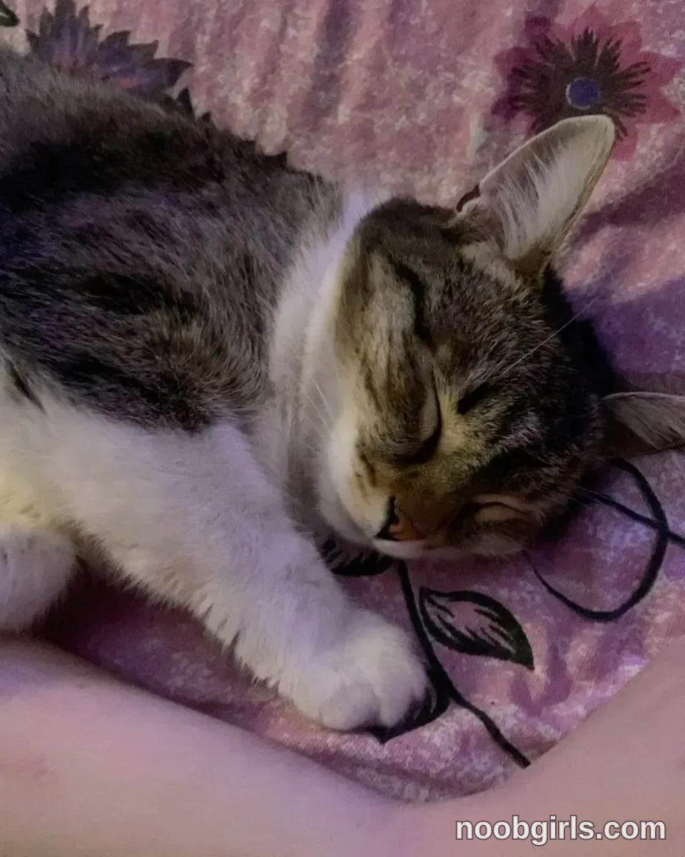 Mynameis Katy      - (@katy_ethereal) — "My love❤️ This cat’s name is Luna🐈‍⬛ I took her when she was little, she probably