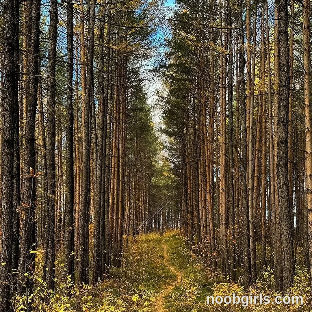 Mynameis Katy      - (@katy_ethereal) — "On my days off, I went out to the forest for the first time to ride a quad bike."