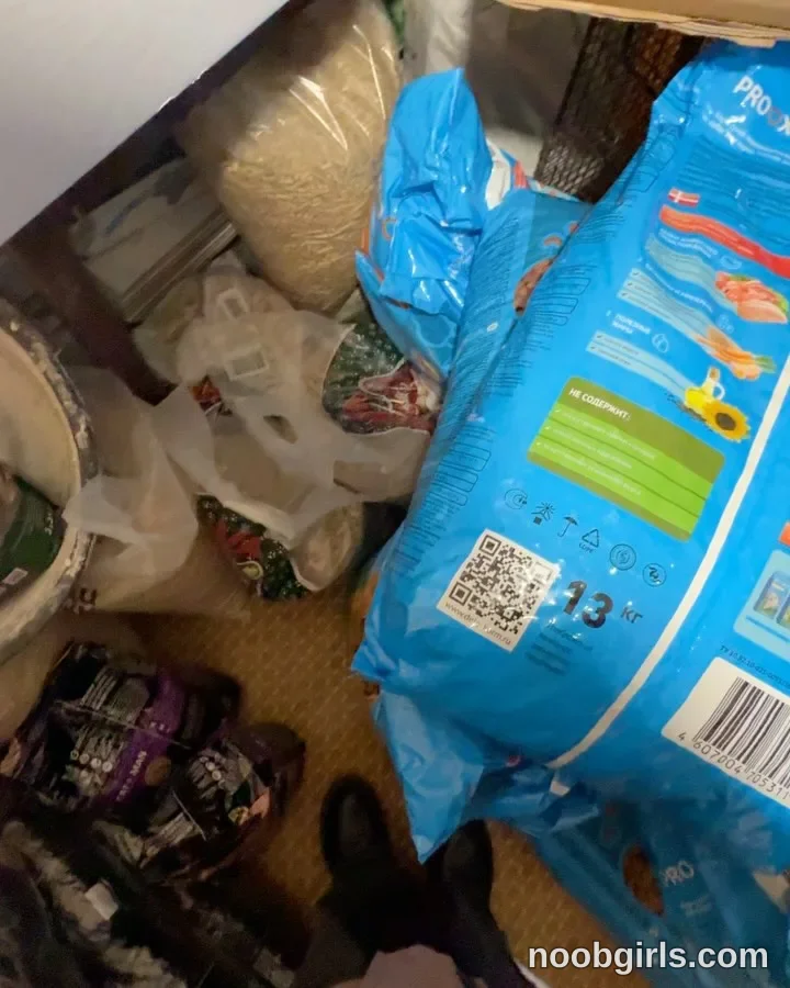 Mynameis Katy      - (@katy_ethereal) — "Today I took the animal food to the shelter."
