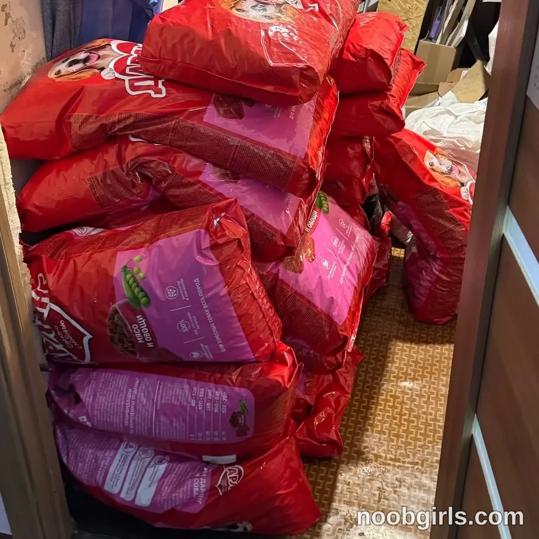 Mynameis Katy      - (@katy_ethereal) — "You and I were collecting money to help the animal shelter for Thanksgiving."