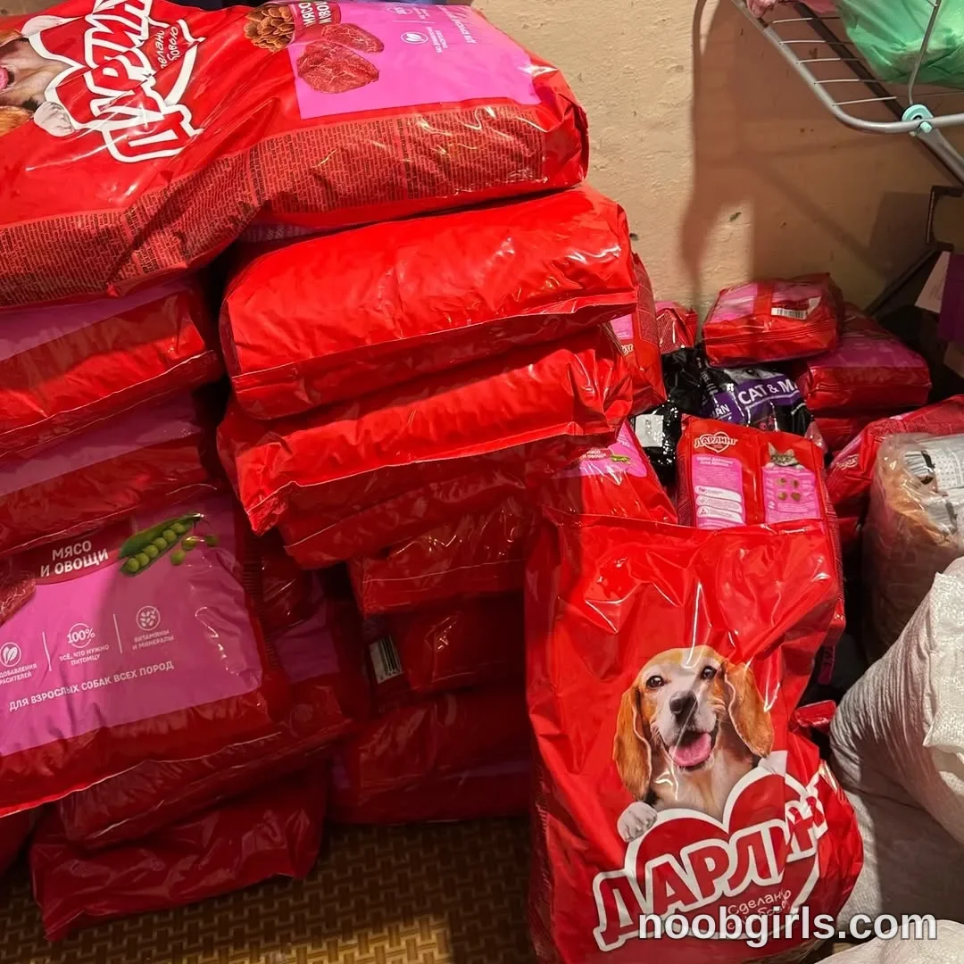Mynameis Katy      - (@katy_ethereal) — "You and I were collecting money to help the animal shelter for Thanksgiving."