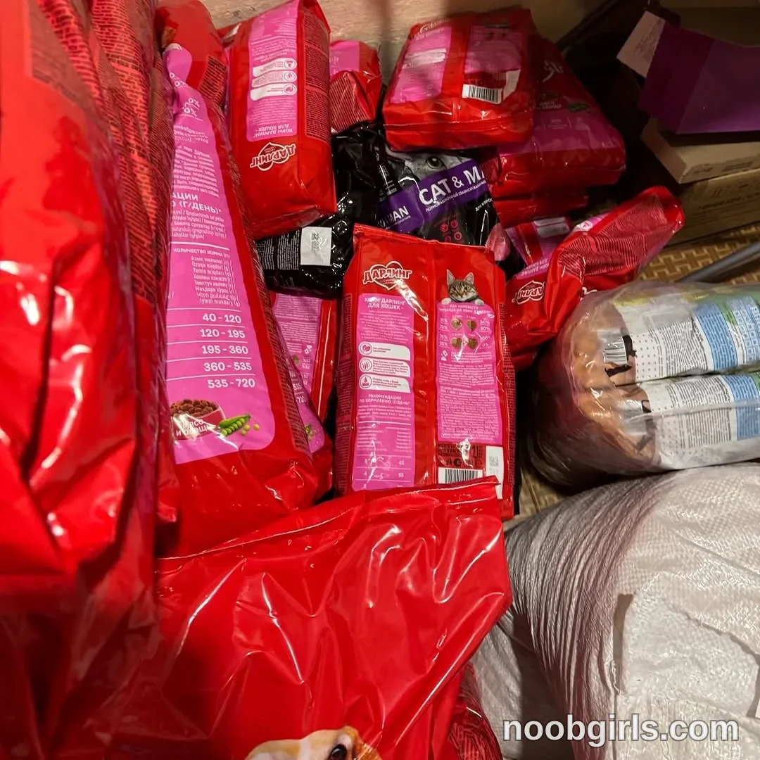 Mynameis Katy      - (@katy_ethereal) — "You and I were collecting money to help the animal shelter for Thanksgiving."