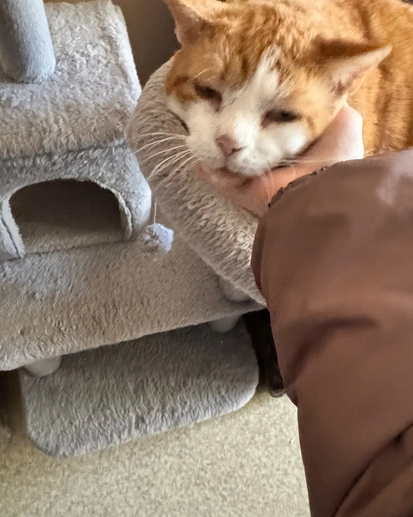 Mynameis Katy      -   https://linktr.ee/katy_ethereal on Chaturbate