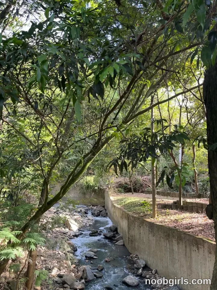 Gisebloom En (@katybloom_) — "Bloom en Provenza 🌳 La naturaleza es taaaaan hermosa 💐 ¿Cuál foto te gustó…" in Medellín,…