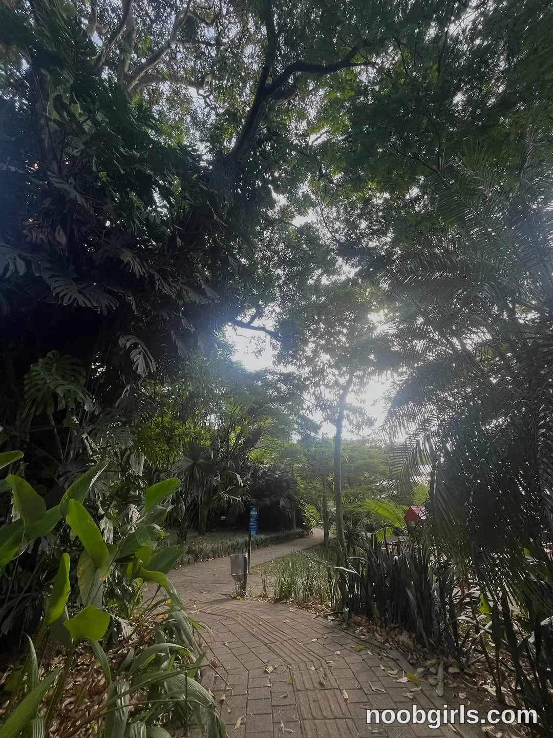 Gisebloom En (@katybloom_) — "Bloom en Provenza 🌳 La naturaleza es taaaaan hermosa 💐 ¿Cuál foto te gustó…" in Medellín,…