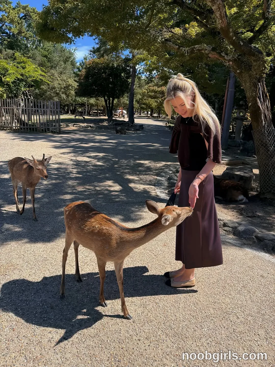 Kristina (@krissone) in Nara Deer Park, Japan
