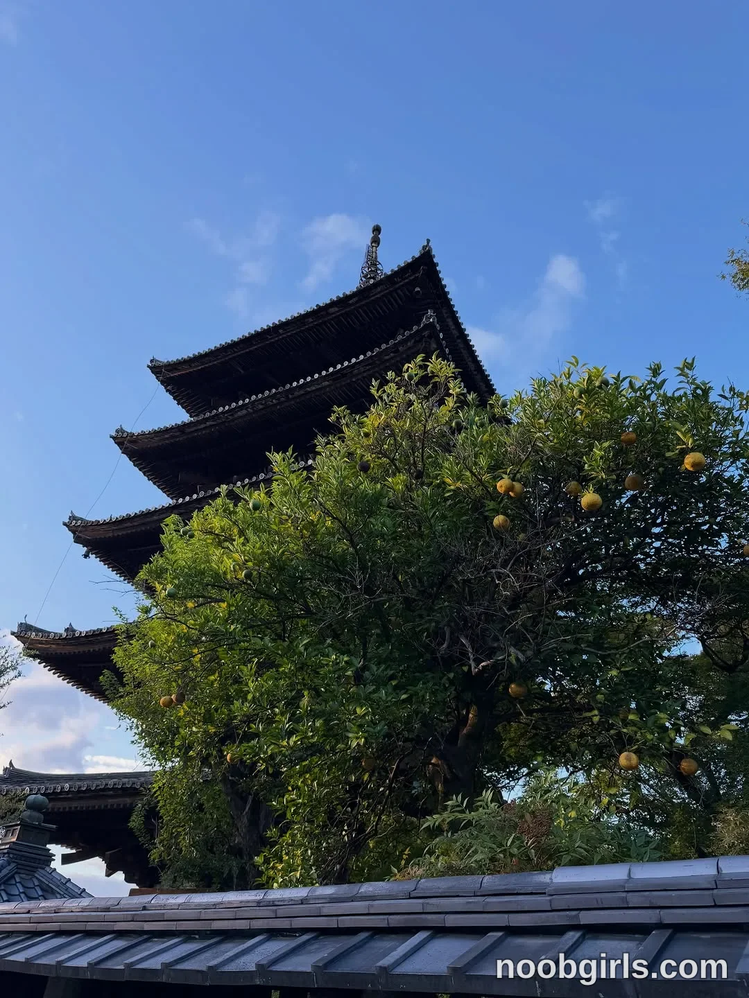 Kristina (@krissone) in 京都 Kyoto, Japan